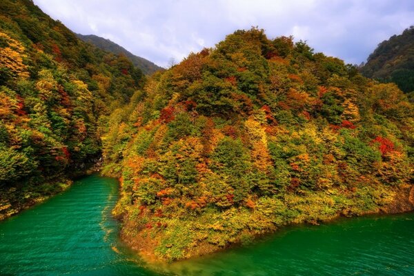 Flattering arrays in the middle of the water