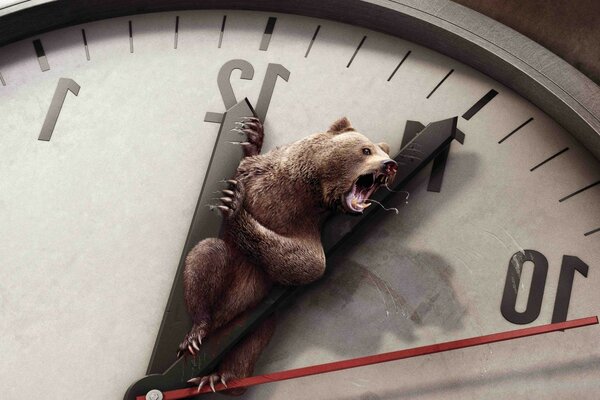 Orso allarga le zampe delle lancette dell orologio