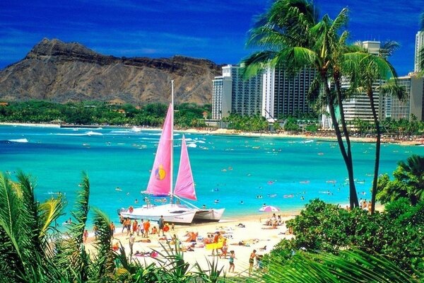 La playa y las velas Rosadas del yate