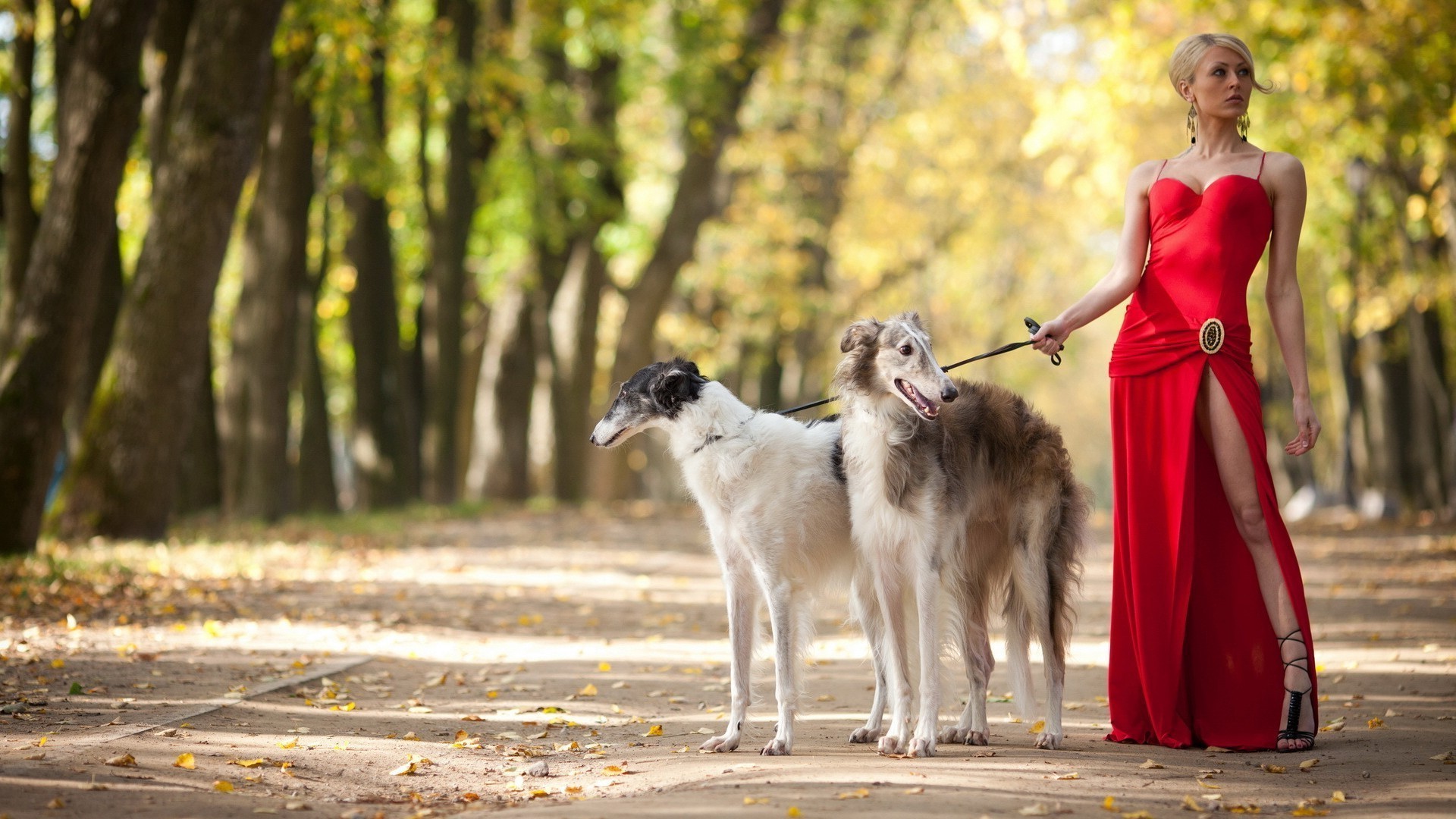 animals portrait outdoors nature dog young girl one