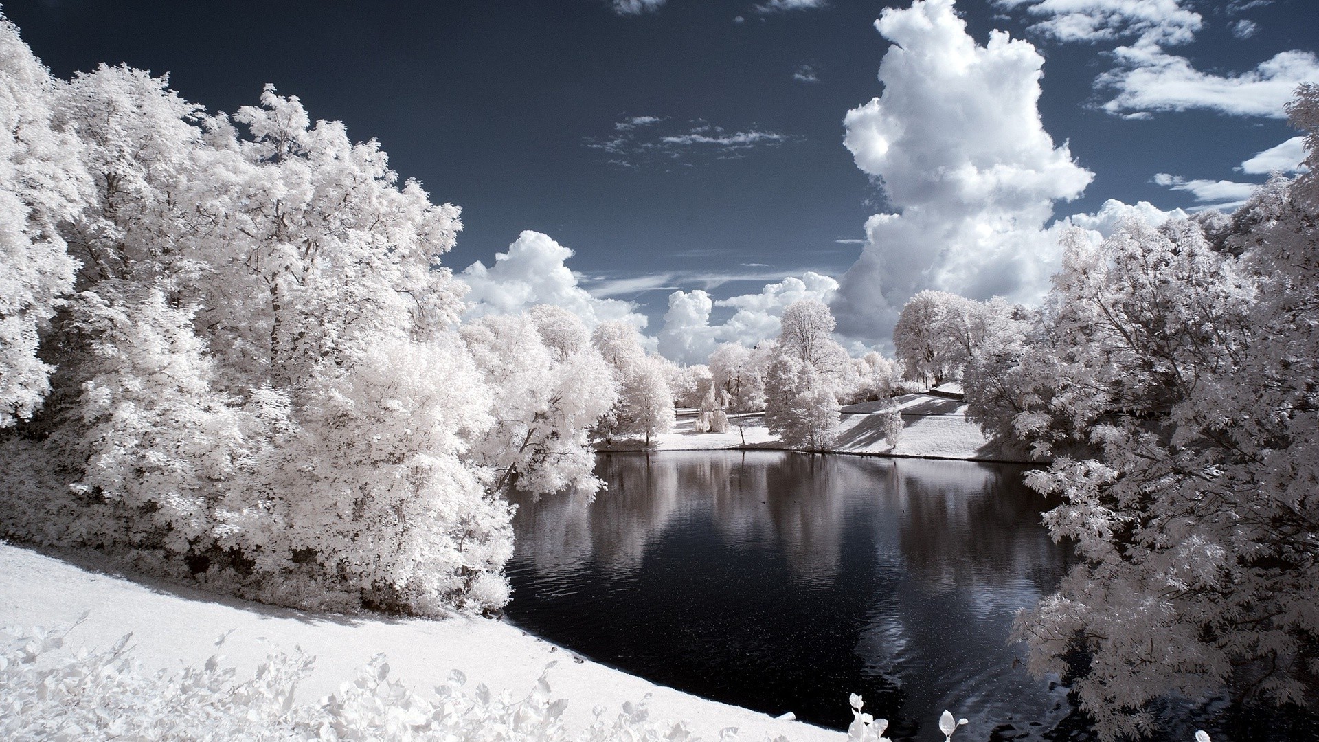 lago nieve invierno escarcha frío congelado hielo árbol paisaje infrarrojo temporada tiempo madera naturaleza blanco como la nieve hielo parque escénico