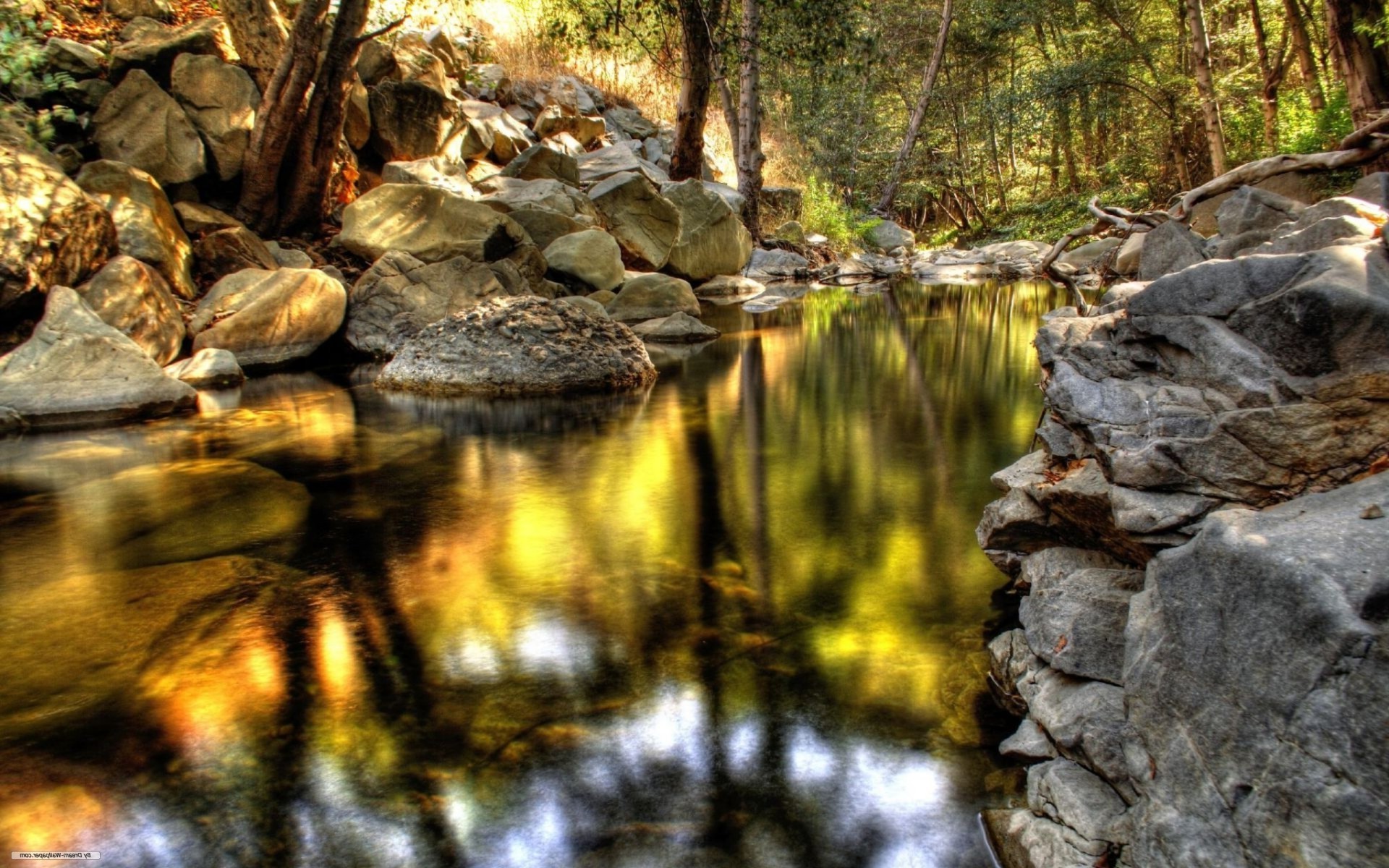 fiumi stagni e torrenti stagni e torrenti acqua natura fiume legno albero flusso roccia all aperto paesaggio viaggi ambiente creek parco autunno pietra cascata flusso foglia bagnato