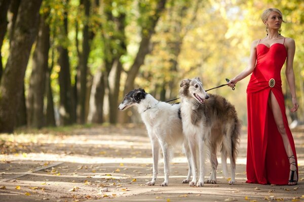 Foto eines Mädchens im roten Kleid mit Hunden