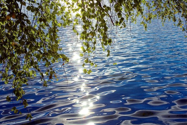 Beautiful nature. The rays of the sun in the water