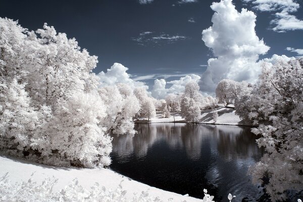 Ein verschneites Winter-silbernes Märchen am kalten See