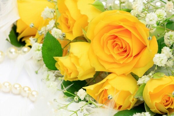 Delicate yellow bouquet of roses