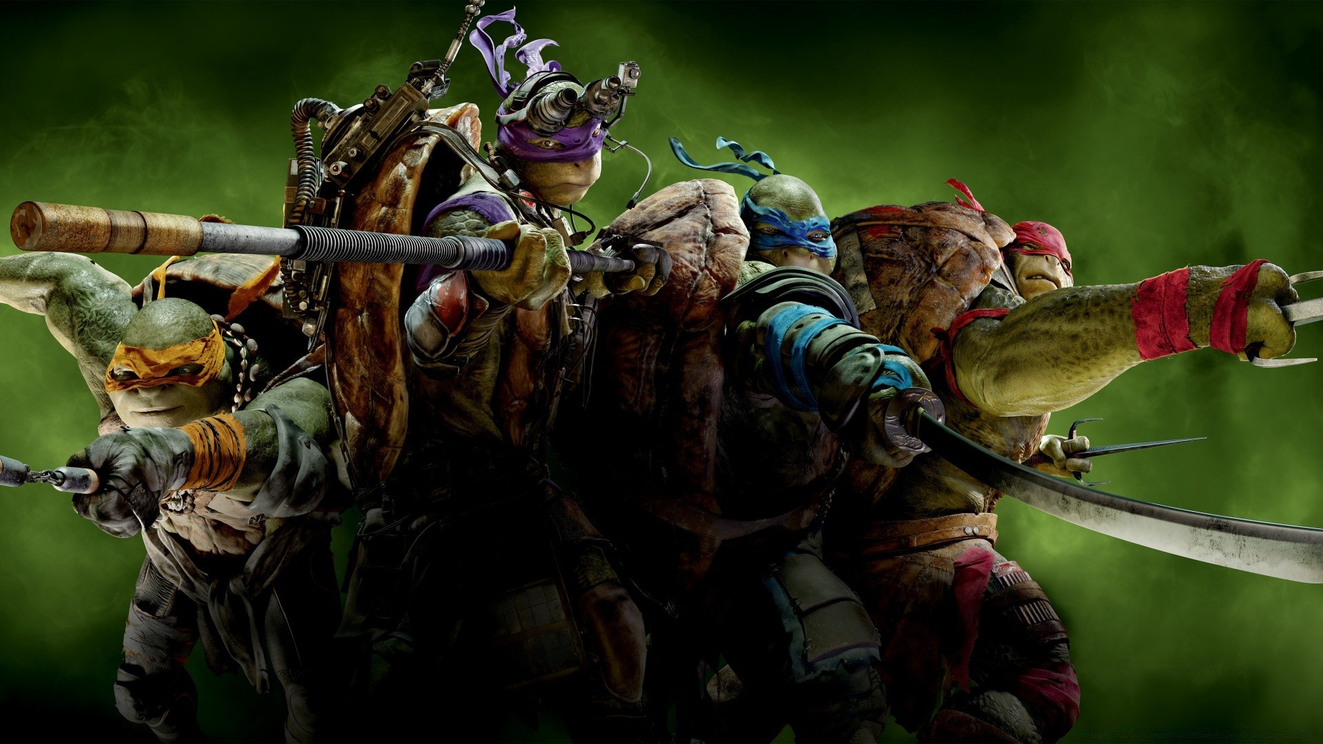 ninja turtles personne adulte groupe