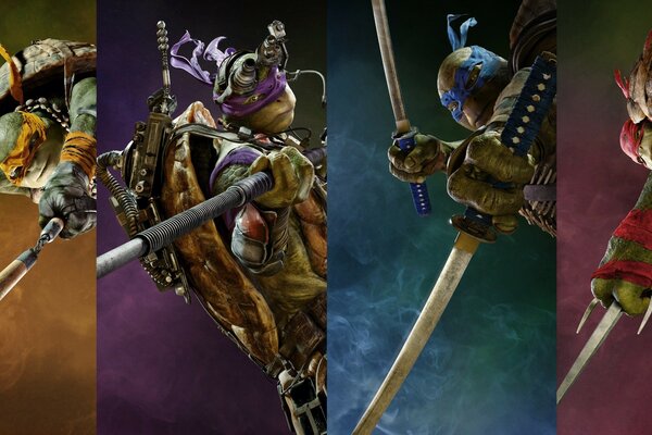 Illustration of ninja turtles with swords photo collage