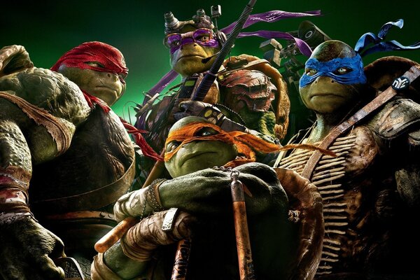 Ninja turtles are ready to fight