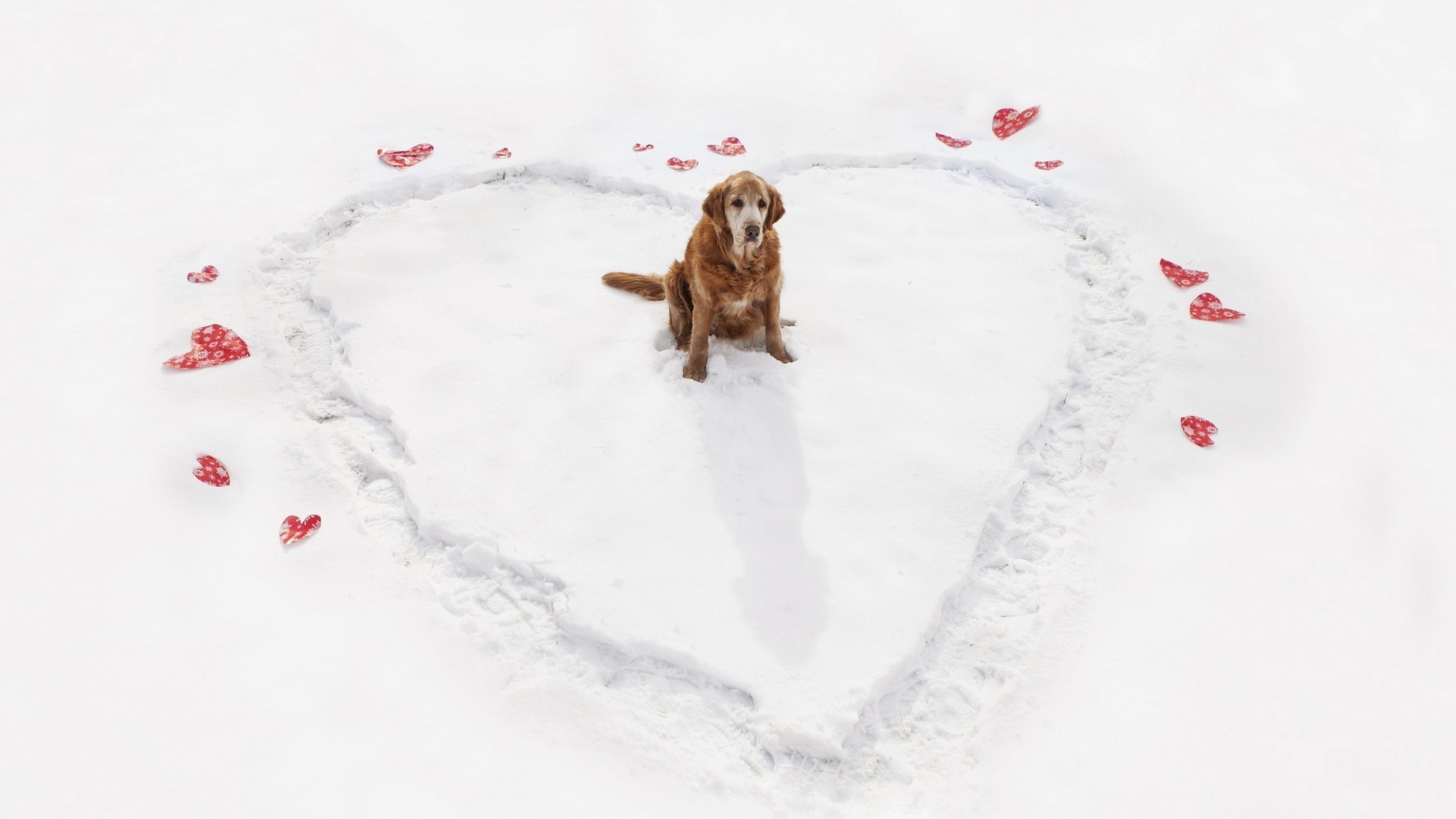 liebe und romantik schnee winter allein vergnügen kälte im freien