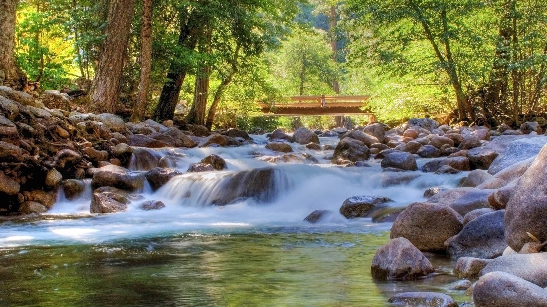 річки ставки і струмки ставків і струмків води потік природа водоспад річка рок деревини на відкритому повітрі руху потік мокрий осінь каскад пейзаж лист дикий крик дерево середовища