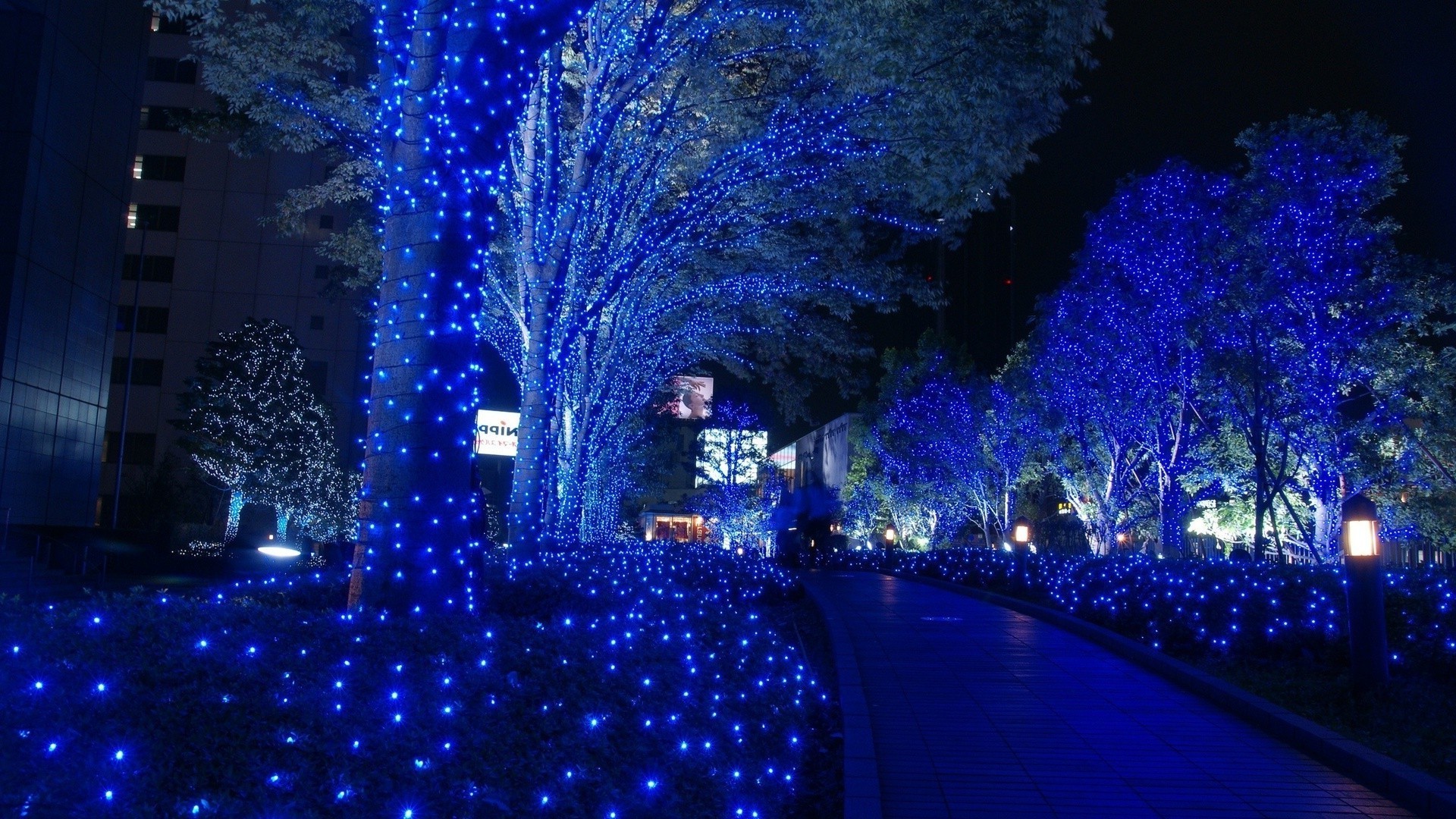 ciudad iluminado luz navidad noche desenfoque oscuro vacaciones viajes invierno