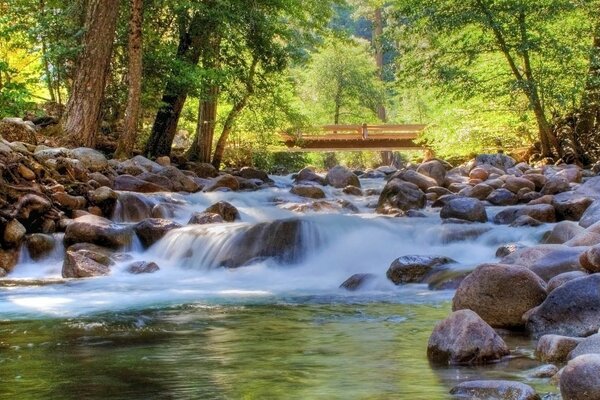 Um rio na floresta corre sobre as pedras