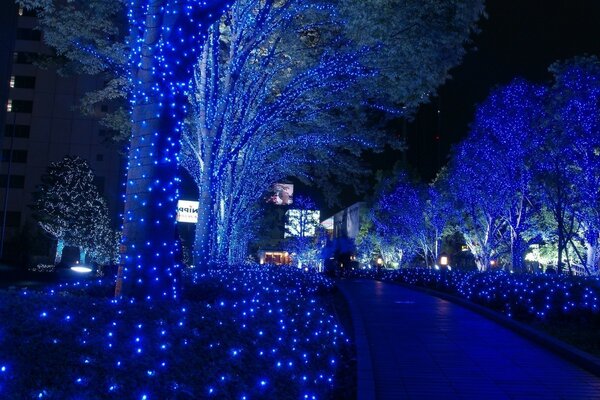 Città notturna chic. Illuminazione moderna