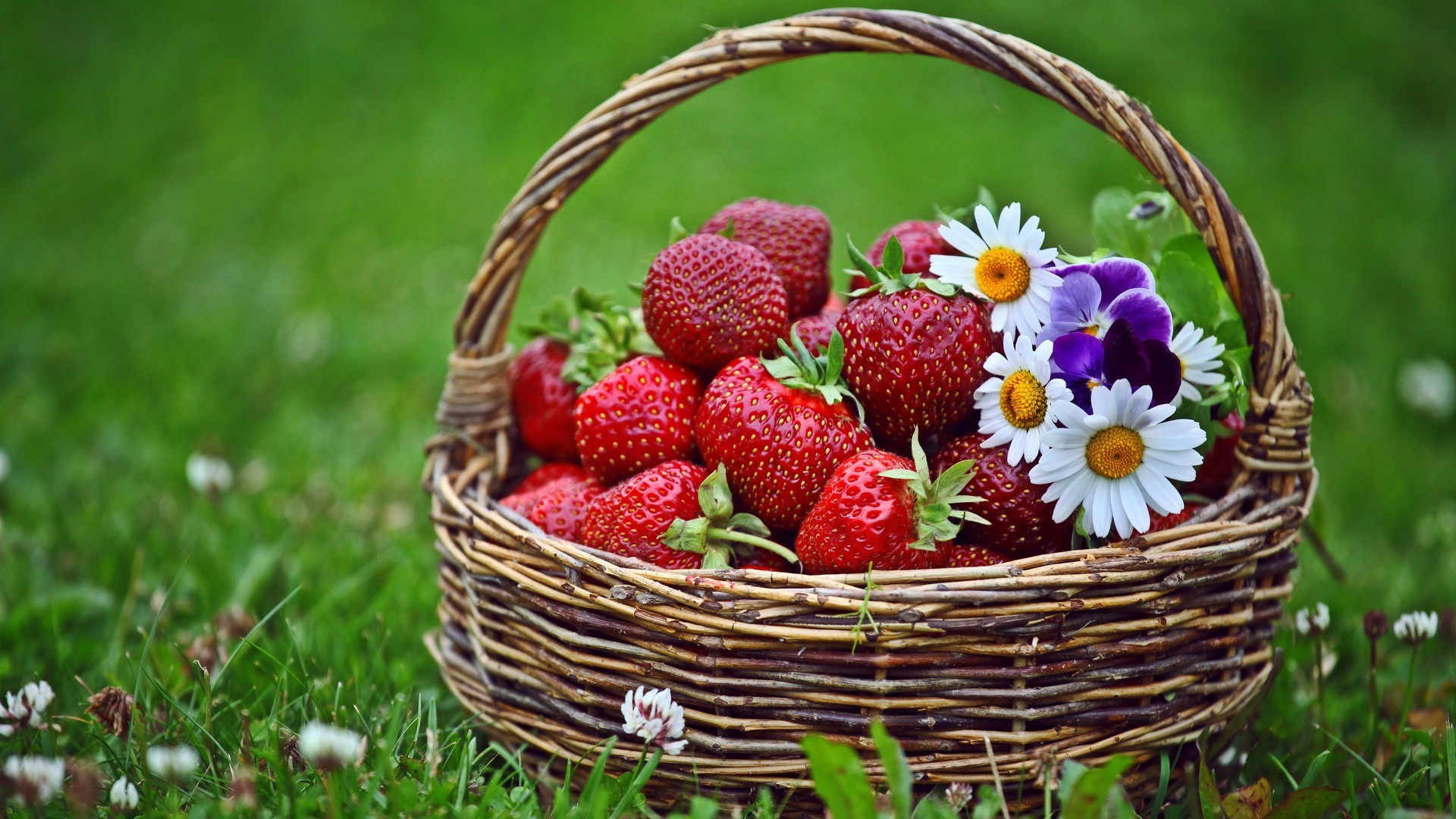 bayas cesta mimbre comida fruta naturaleza jardín pasto primer plano verano pastelería frescura saludable baya escritorio fresa