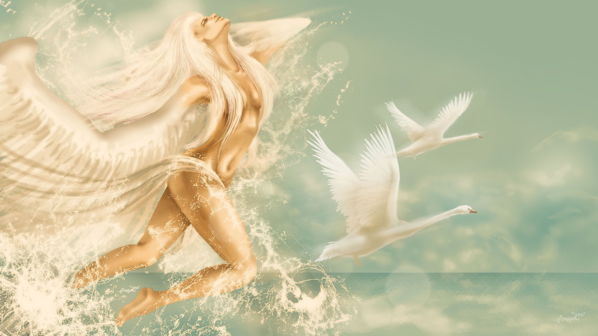 angels water bird sea ocean