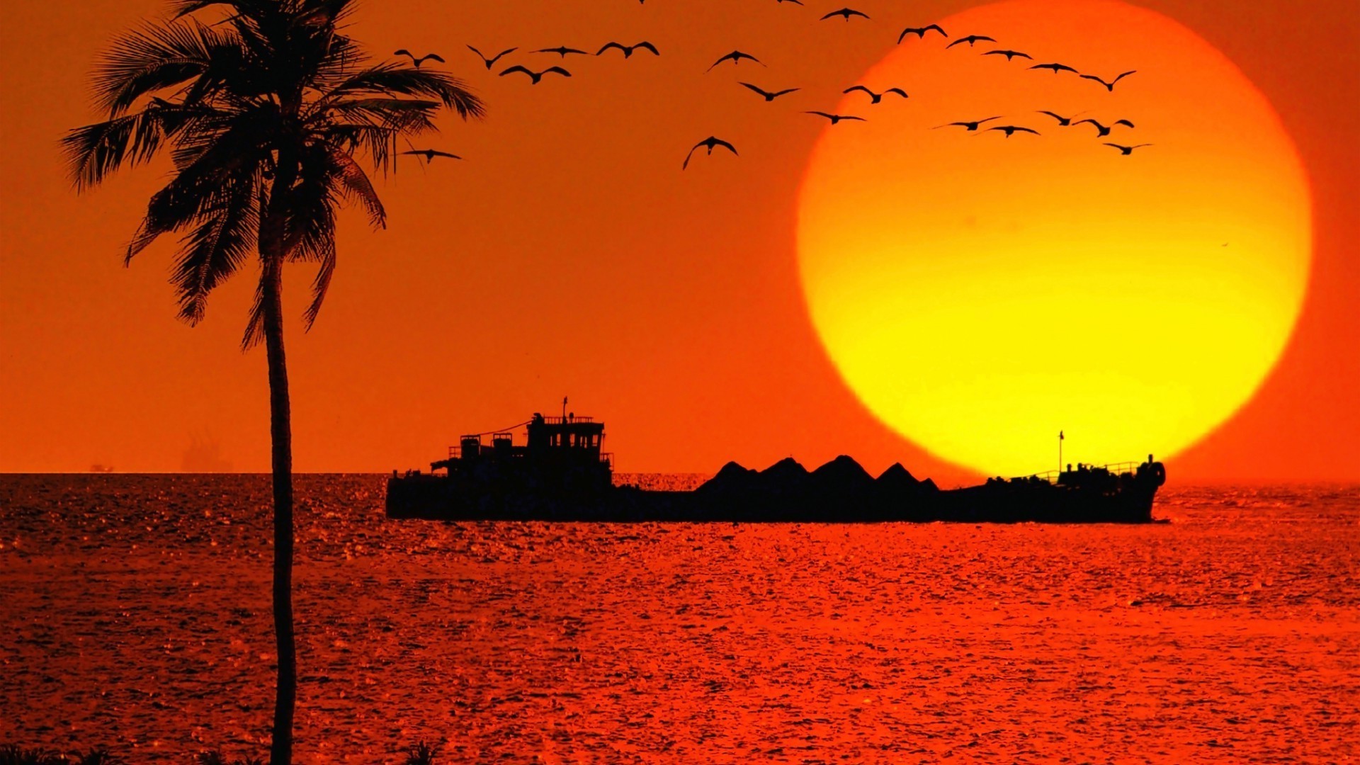 coucher de soleil et aube coucher de soleil soleil plage aube océan soir silhouette mer sable mer tropical crépuscule ciel nature été eau paysage beau temps