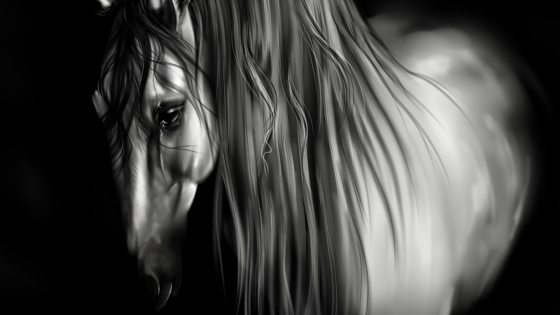 horses monochrome art abstract black and white dark light portrait fantasy nude girl mono smoke desktop ghost