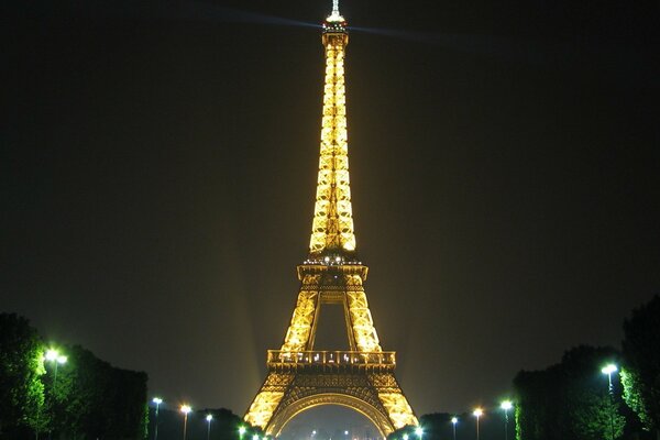 Eiffel Tower in the night sky