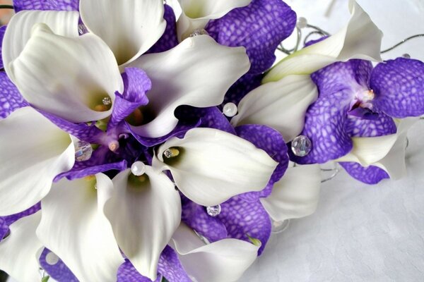 Belles fleurs violettes et blanches