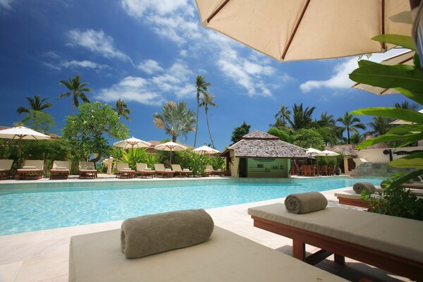 Sun beds near the pool in the resort area