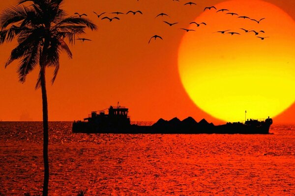 Sunset by the sea on the beach on the background