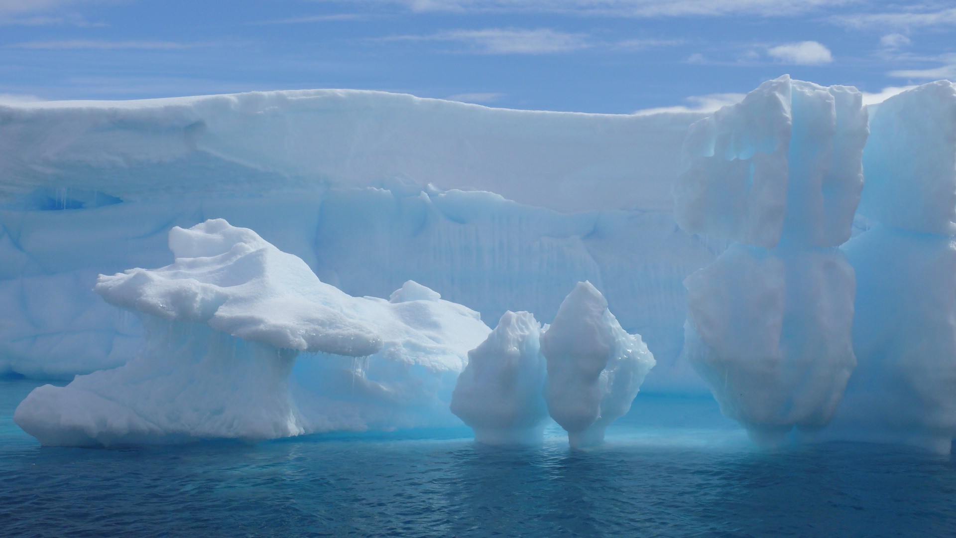 ice iceberg melting frosty swimming glacier snow water cold climate change winter greenland global warming nature outdoors frozen antarctic sea travel