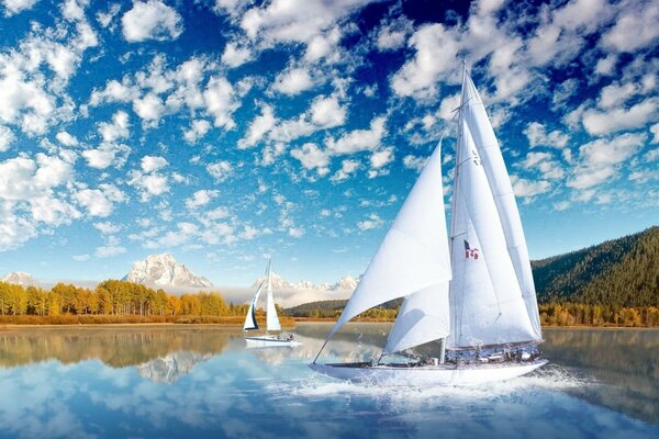 Weiße Segel auf dem Wasser und blauer Himmel