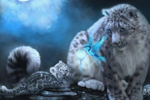 Vida selvagem. Leopardo da neve