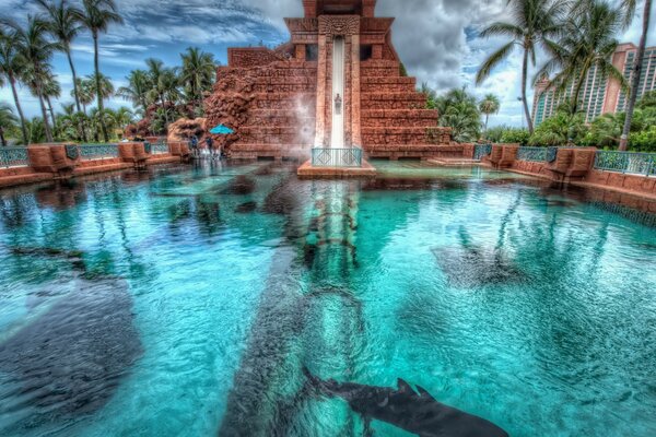 Un antiguo trampolín en una piscina de tiburones