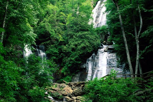 Wasserfall inmitten des grünen Waldes