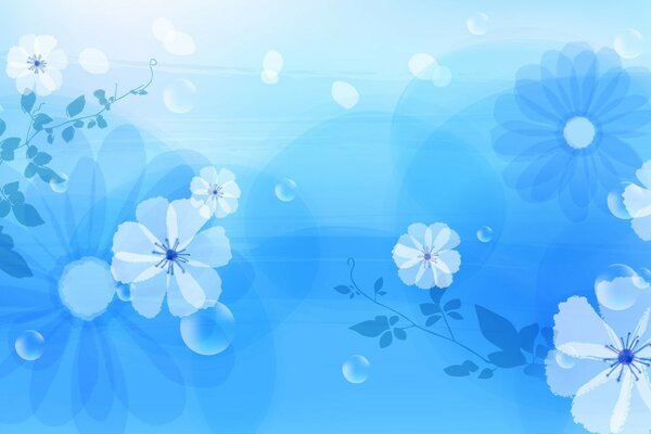 White flowers on a light blue background drawing