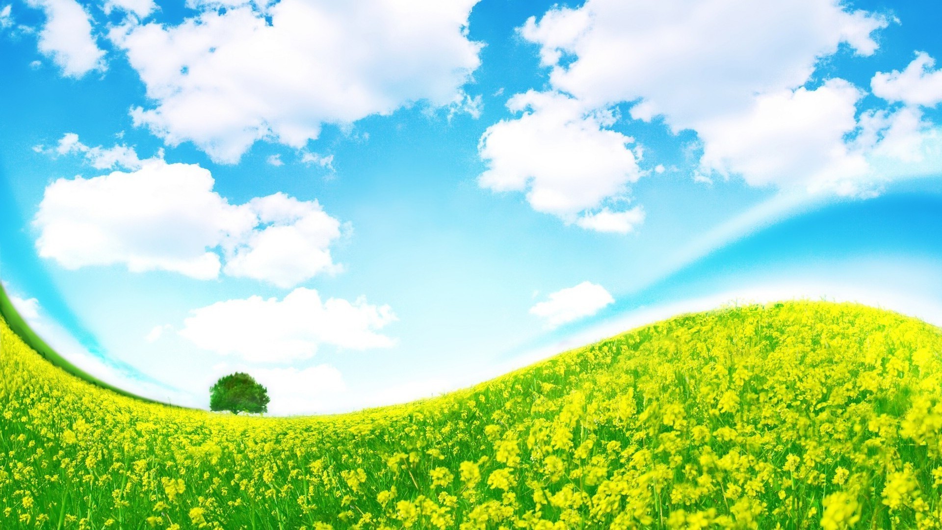 felder wiesen und täler landwirtschaft feld landschaft des ländlichen natur sommer landschaft bauernhof blume wachstum gutes wetter himmel heuhaufen im freien gras umwelt sonne flora ackerland