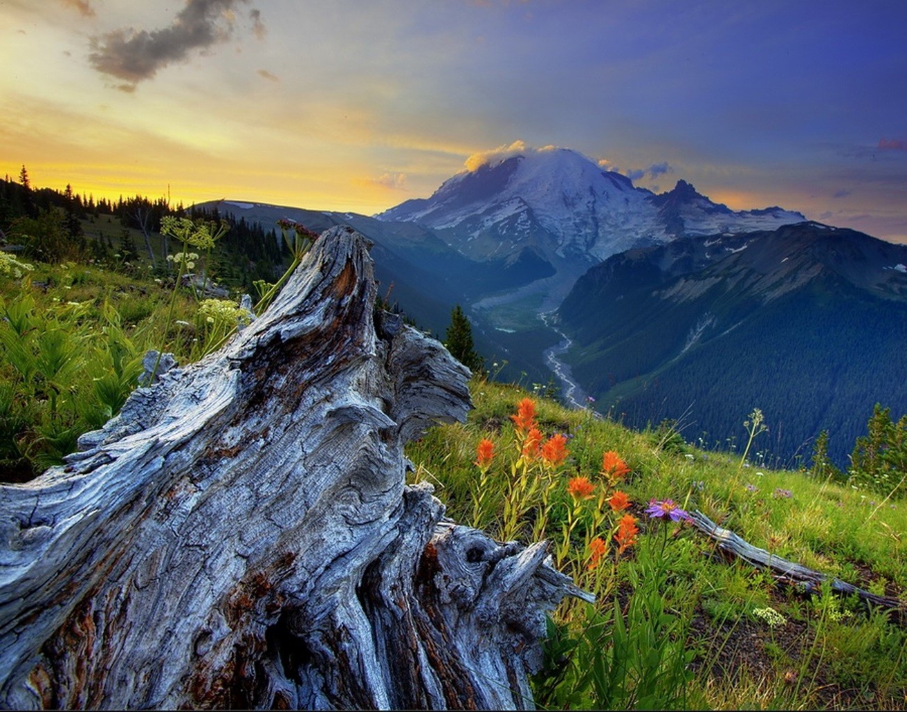 montagnes montagnes paysage nature ciel voyage en plein air scénique bois roche neige pic de montagne vallée arbre herbe lumière du jour pinnacle été nuage randonnée