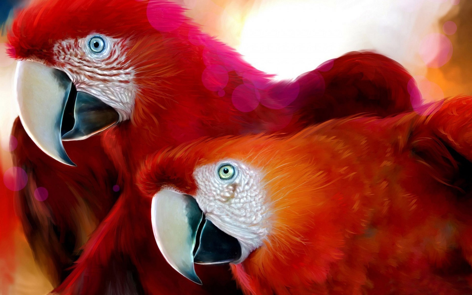 animals parrot bird macaw feather zoo color tropical wildlife nature animal portrait