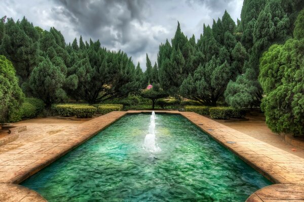 Piscine dans le parc au milieu de la forêt