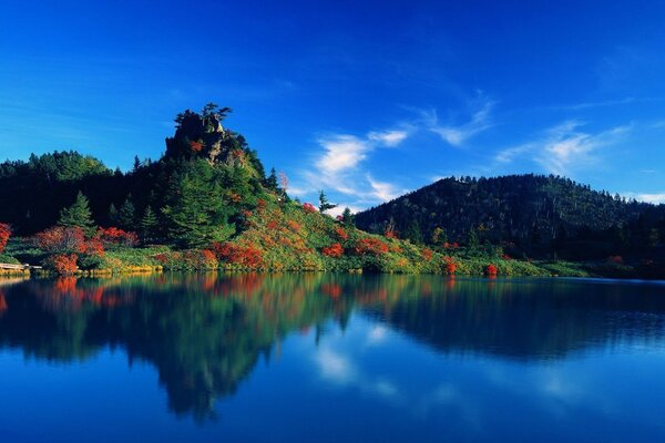 Reflection of the sky in the lake in the middle of the forest