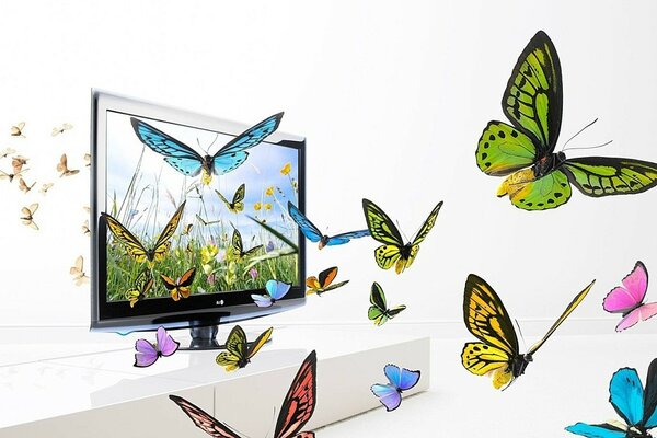 TV und Illustration der Schmetterlinge auf weißem Hintergrund