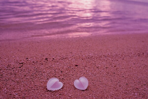 Hearts on the beach in pink sand