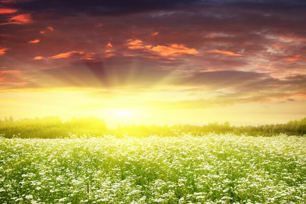 Sunset and dawn in rural fields