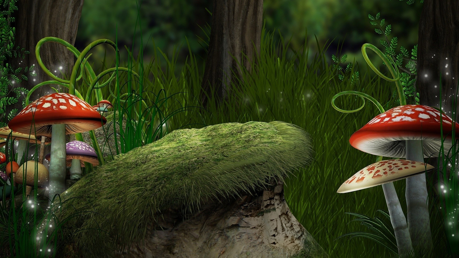 mushrooms mushroom nature grass color summer fall fungus outdoors wood garden park flora beautiful toadstool food leaf