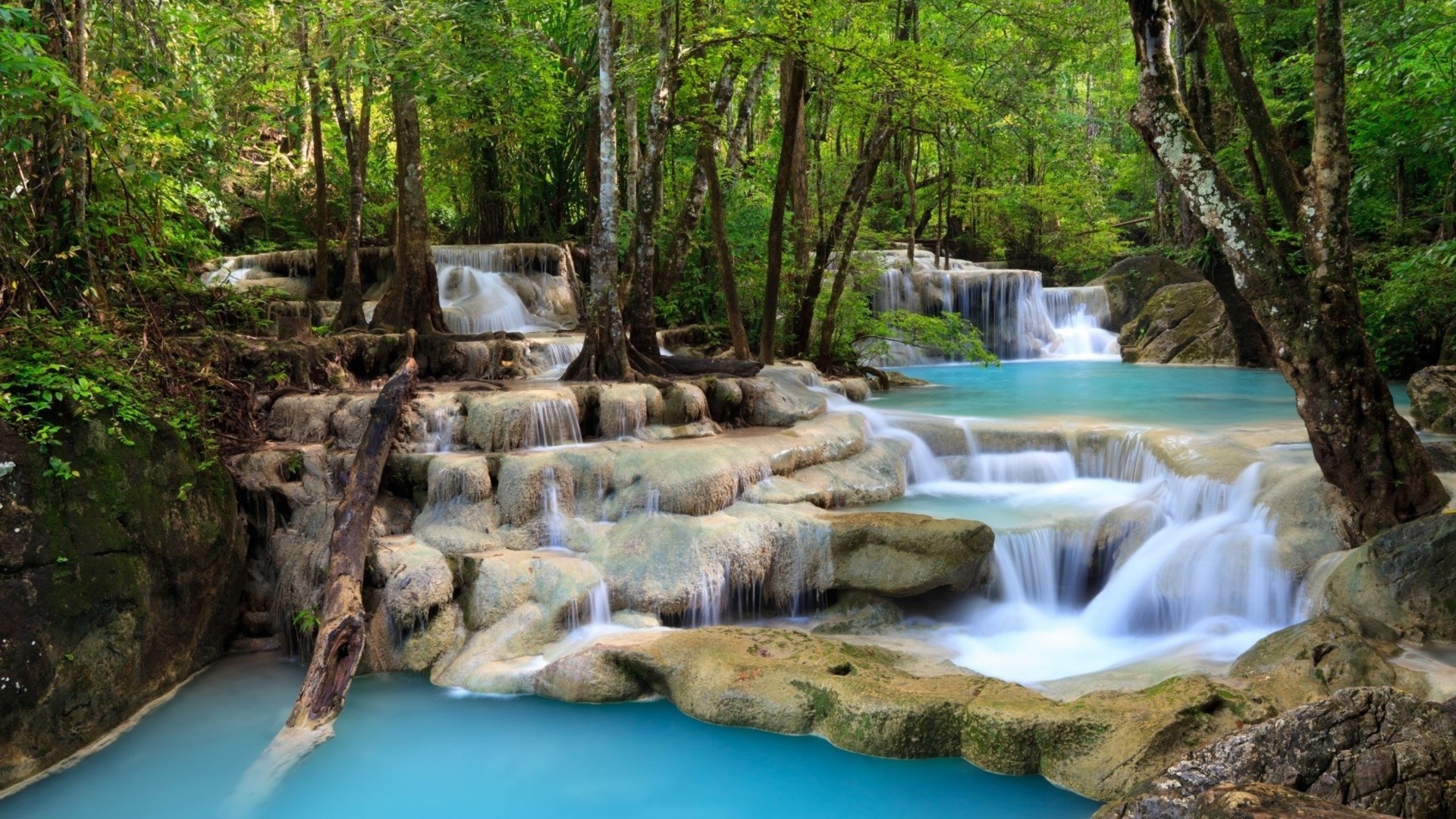 cascate acqua cascata legno natura flusso fiume cascata creek viaggi foglia roccia selvaggio flusso paesaggio all aperto albero estate bagnato ambiente