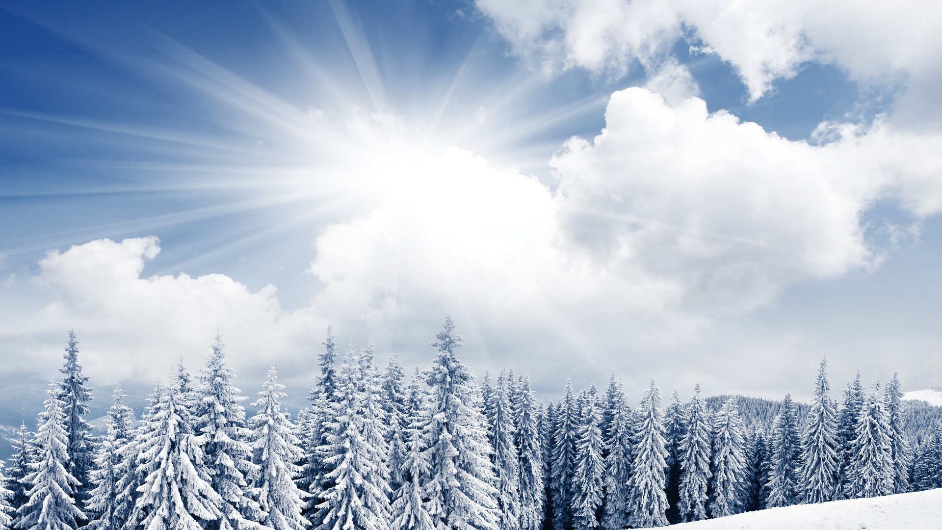 природа снег деревья небо загрузить