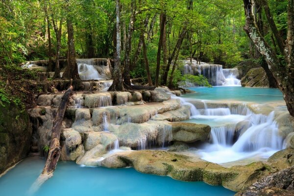 Wasserfall auf dem Hintergrund eines dichten Waldes