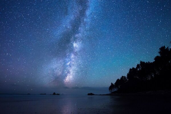 A huge number of stars in the middle of a clear sky