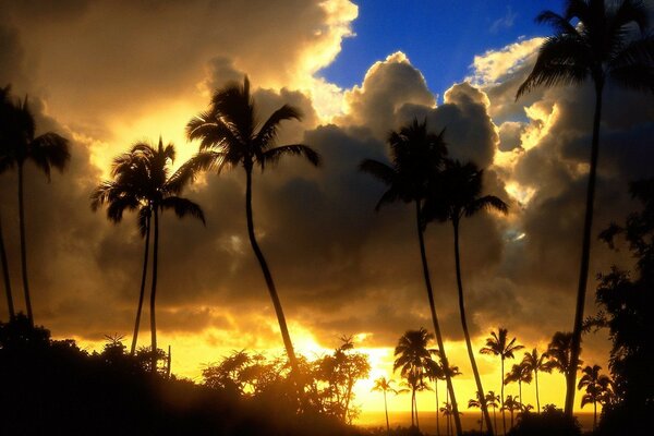 Flaming sunset on the beach