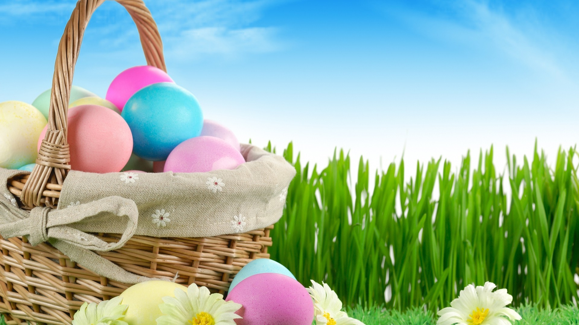 pasqua uovo erba uovo di pasqua fiore coniglio natura stagione vacanza cestino nido tradizionale decorazione primavera coniglio desktop pasqua caccia religione