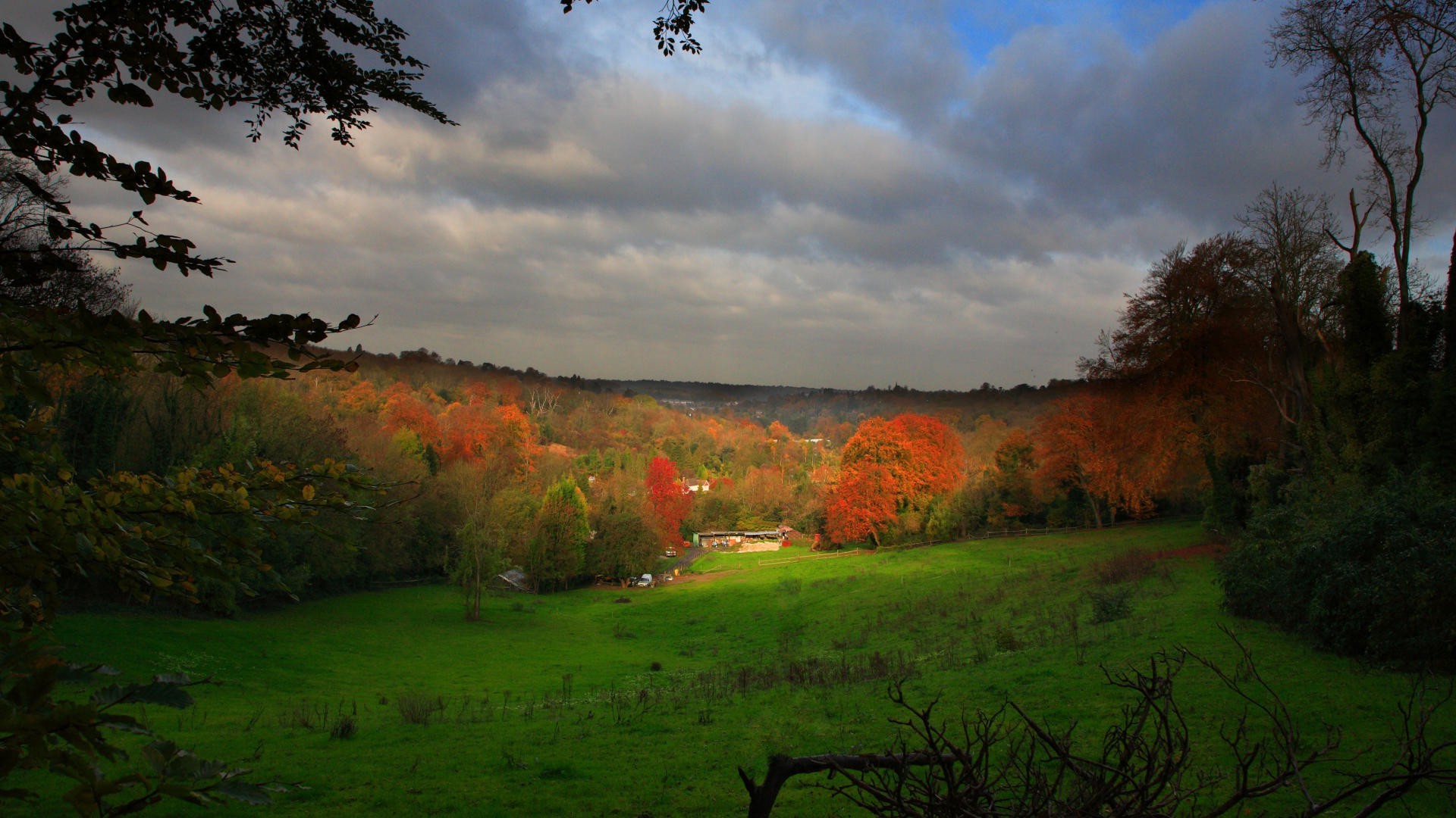 the sunset and sunrise fall tree dawn landscape nature outdoors grass sunset wood countryside evening sky leaf fog fair weather