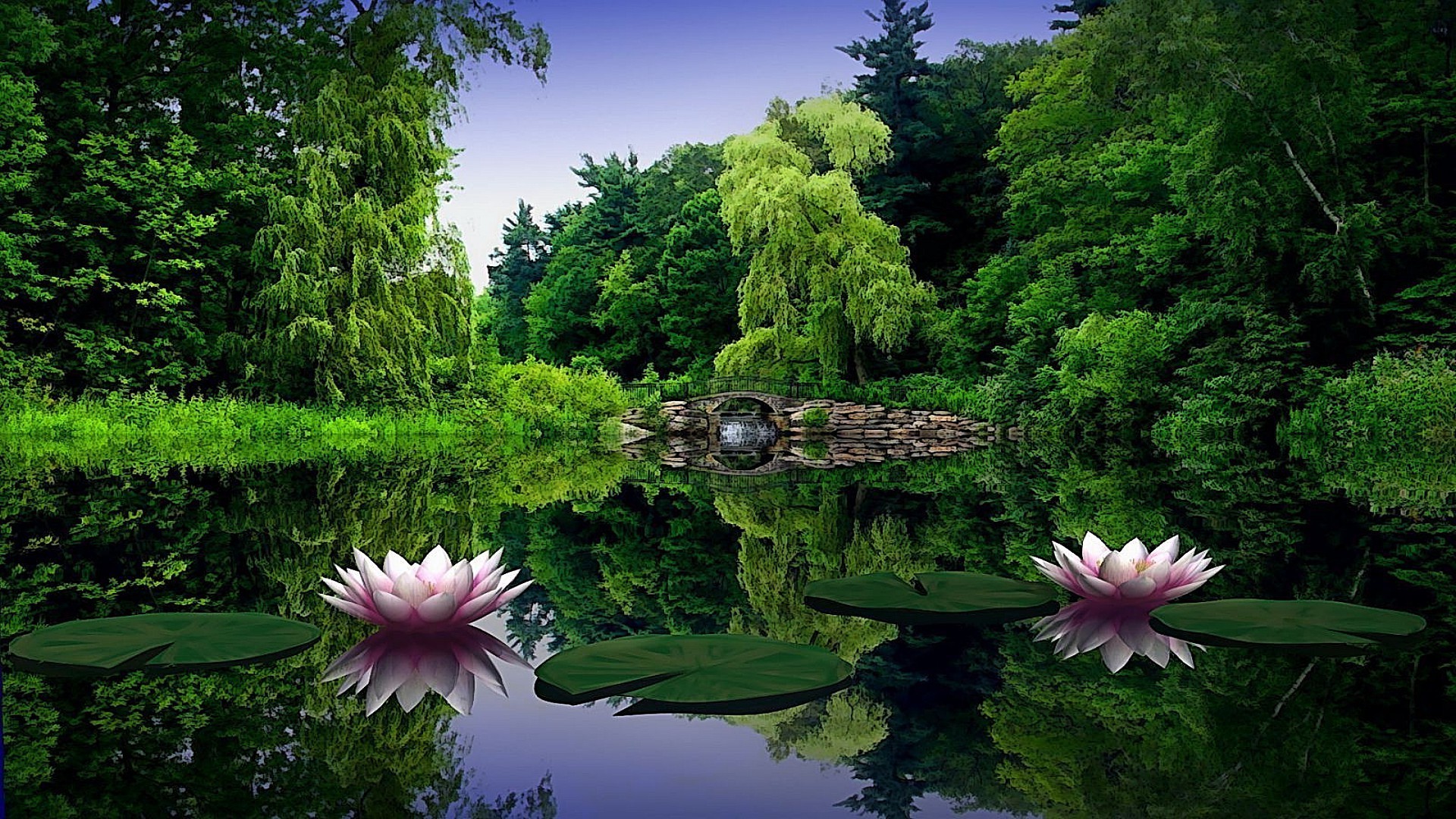 озера бассейн природа лето флора сад парк лист цветок красивые дзен мир пейзаж воды среды лотос сезон тропический