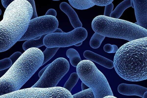 Background picture with microbiology theme